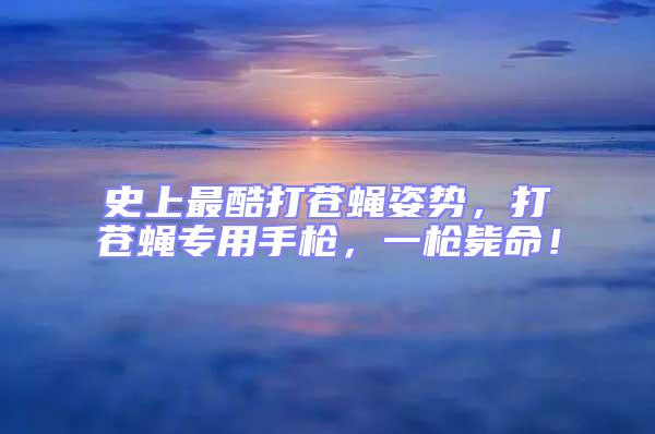 史上最酷打蒼蠅姿勢，打蒼蠅專用手槍，一槍斃命！