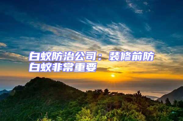 白蟻防治公司:裝修前防白蟻非常重要