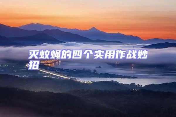 滅蚊蠅的四個(gè)實(shí)用作戰(zhàn)妙招