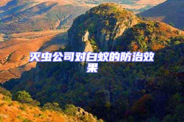 滅蟲公司對白蟻的防治效果