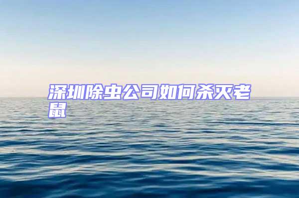 深圳除蟲公司如何殺滅老鼠
