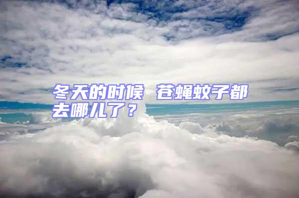 冬天的時候 蒼蠅蚊子都去哪兒了?