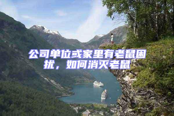 公司單位或家里有老鼠困擾，如何消滅老鼠