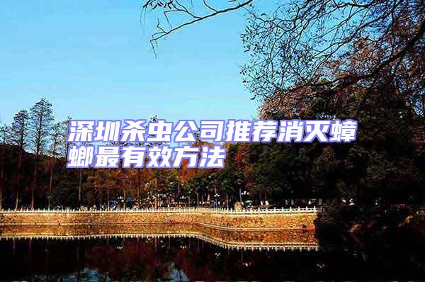 深圳殺蟲公司推薦消滅蟑螂最有效方法