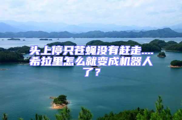 頭上停只蒼蠅沒(méi)有趕走....希拉里怎么就變成機(jī)器人了？