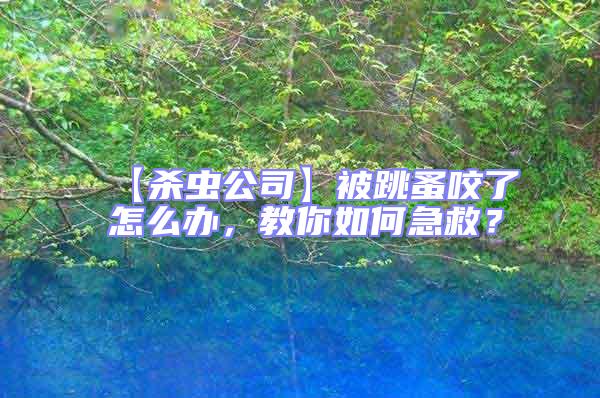 【殺蟲公司】被跳蚤咬了怎么辦，教你如何急救？
