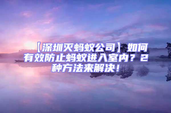 【深圳滅螞蟻公司】如何有效防止螞蟻進入室內？2種方法來解決！