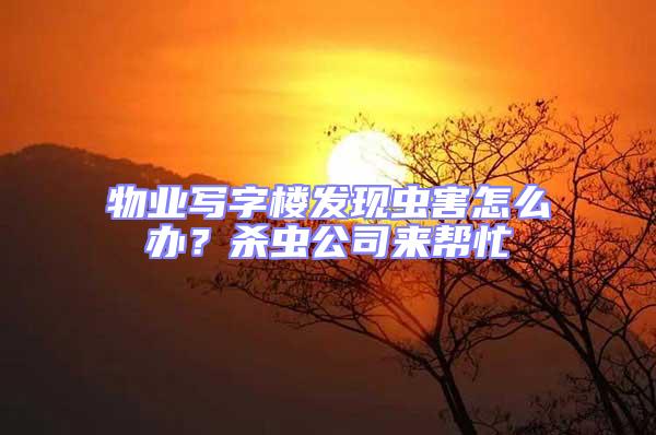 物業(yè)寫字樓發(fā)現(xiàn)蟲(chóng)害怎么辦?殺蟲(chóng)公司來(lái)幫忙