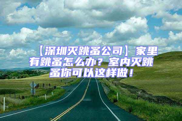 【深圳滅跳蚤公司】家里有跳蚤怎么辦？室內滅跳蚤你可以這樣做！