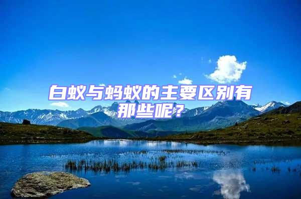 白蟻與螞蟻的主要區(qū)別有那些呢？