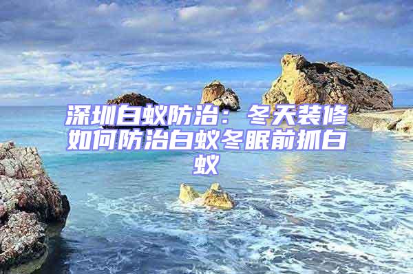 深圳白蟻防治:冬天裝修如何防治白蟻冬眠前抓白蟻