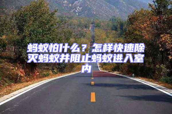 螞蟻怕什么？怎樣快速除滅螞蟻并阻止螞蟻進入室內(nèi)
