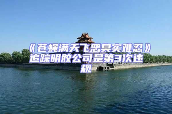 《蒼蠅滿天飛惡臭實(shí)難忍》追蹤明膠公司是第3次違規(guī)