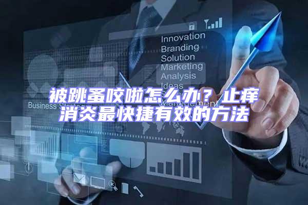 被跳蚤咬啦怎么辦？止癢消炎最快捷有效的方法