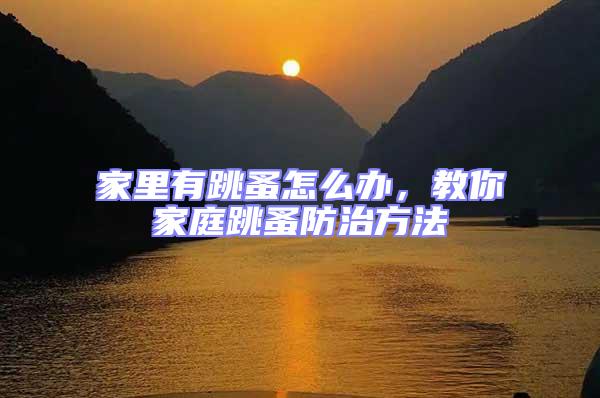 家里有跳蚤怎么辦，教你家庭跳蚤防治方法