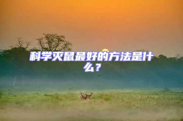 科學(xué)滅鼠最好的方法是什么？