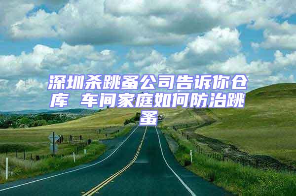 深圳殺跳蚤公司告訴你倉(cāng)庫(kù) 車間家庭如何防治跳蚤