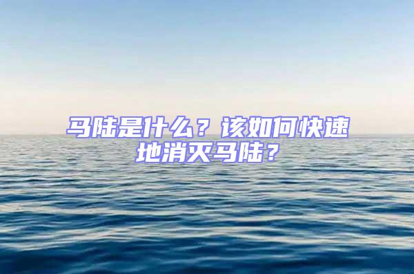 馬陸是什么?該如何快速地消滅馬陸?