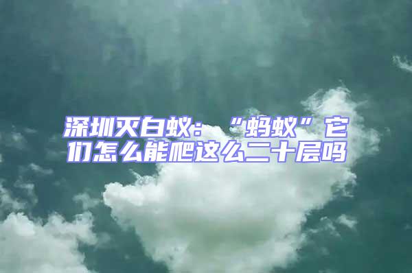 深圳滅白蟻:“螞蟻”它們怎么能爬這么二十層嗎