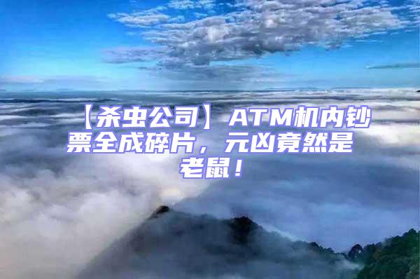 【殺蟲公司】ATM機內鈔票全成碎片,元兇竟然是老鼠!