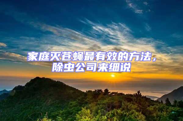 家庭滅蒼蠅最有效的方法,除蟲公司來細(xì)說