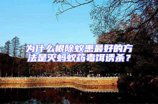 為什么根除蟻患最好的方法是滅螞蟻藥毒餌誘殺?
