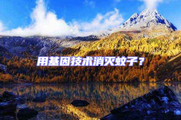 用基因技術消滅蚊子?