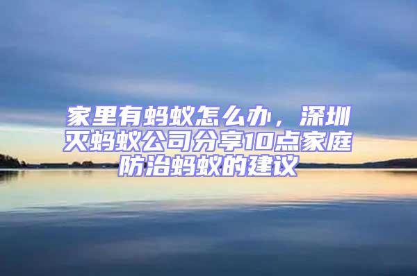 家里有螞蟻怎么辦,深圳滅螞蟻公司分享10點(diǎn)家庭防治螞蟻的建議