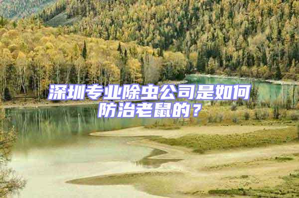 深圳專業(yè)除蟲公司是如何防治老鼠的?