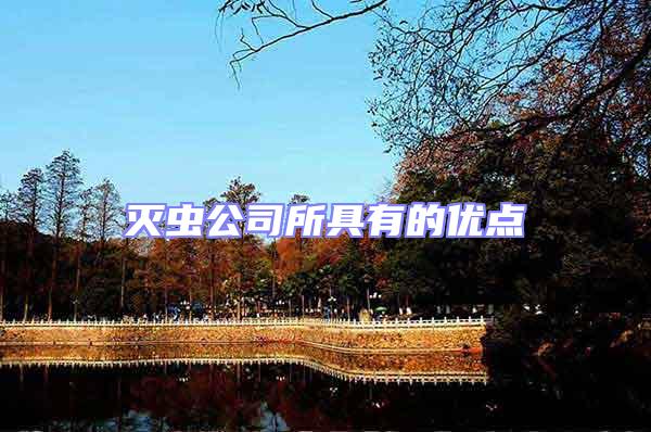 滅蟲公司所具有的優點