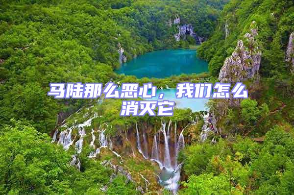 馬陸那么惡心,我們怎么消滅它