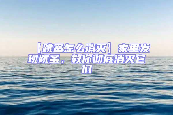 【跳蚤怎么消滅】家里發現跳蚤，教你徹底消滅它們