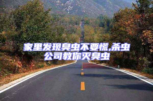 家里發現臭蟲不要慌,殺蟲公司教你滅臭蟲