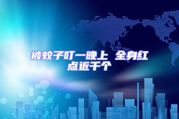 被蚊子叮一晚上 全身紅點近千個