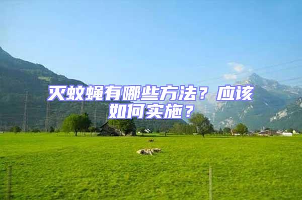 滅蚊蠅有哪些方法?應該如何實施?