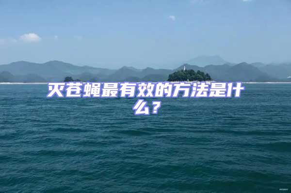 滅蒼蠅最有效的方法是什么？