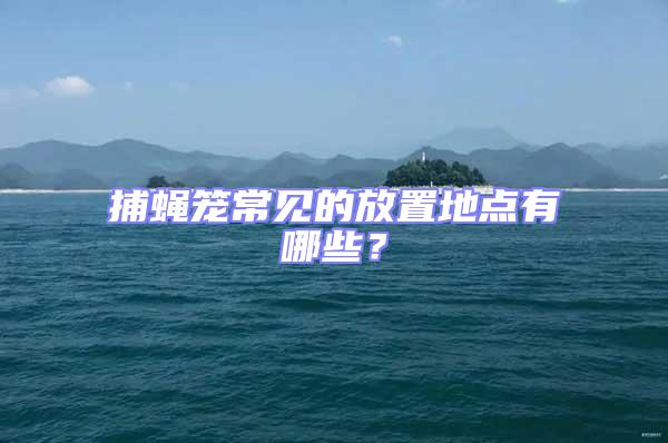 捕蠅籠常見的放置地點有哪些？