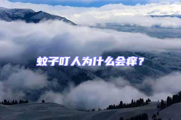 蚊子叮人為什么會癢?