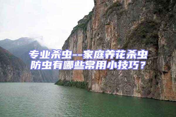 專業殺蟲--家庭養花殺蟲防蟲有哪些常用小技巧?