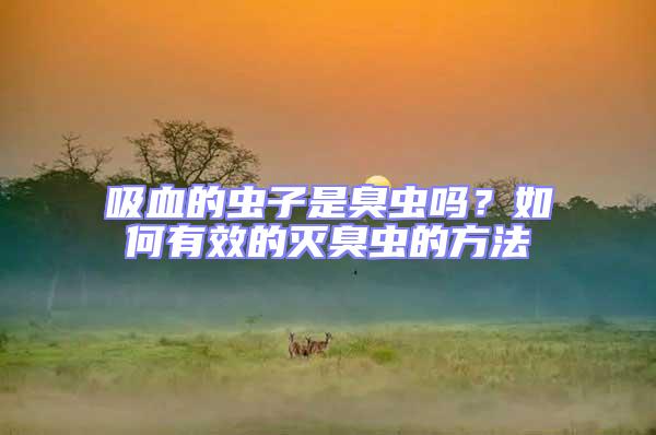 吸血的蟲子是臭蟲嗎?如何有效的滅臭蟲的方法