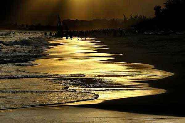 殺蟑螂公司聊聊室內(nèi)發(fā)現(xiàn)蟑螂如何消滅？