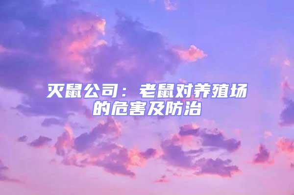 滅鼠公司:老鼠對養(yǎng)殖場的危害及防治
