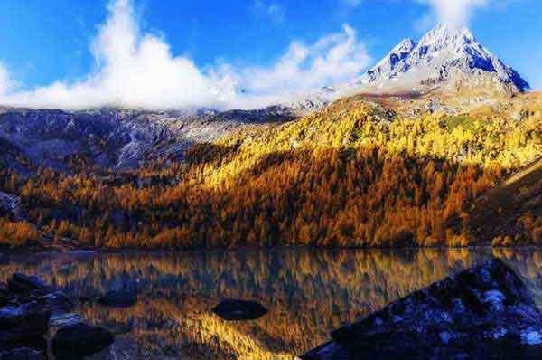 家庭害蟲的預防措施