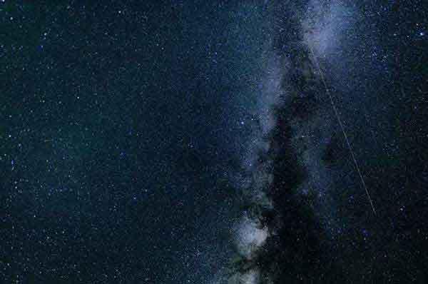 深圳滅蟑螂公司提示：喬遷新居，勿忘滅蟑