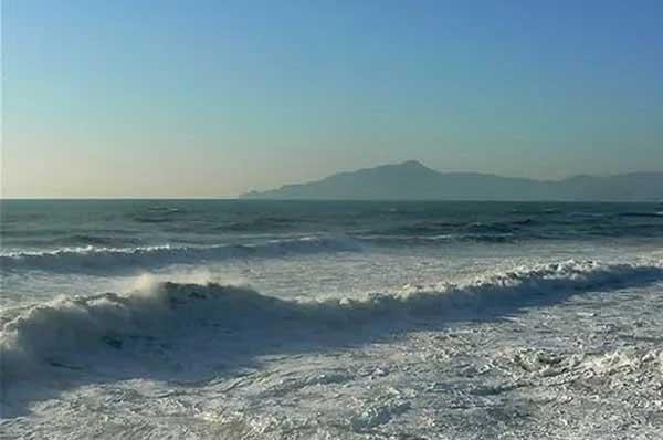 老鼠怕什么東西？怕什么味道和聲音？