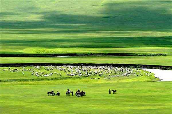 深圳市四害密度監測方案