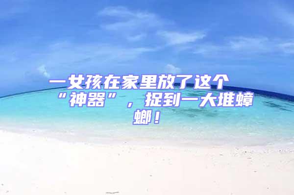 一女孩在家里放了這個“神器”,捉到一大堆蟑螂!