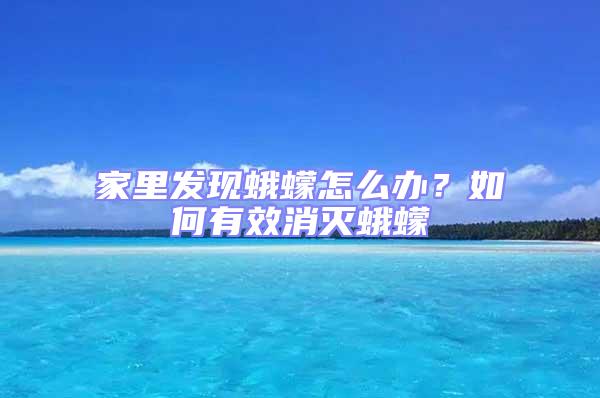 家里發現蛾蠓怎么辦？如何有效消滅蛾蠓