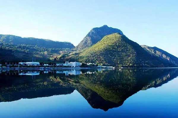 辦公室發現老鼠怎么辦？滅鼠公司出高招