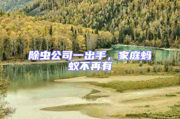 除蟲公司一出手，家庭螞蟻不再有